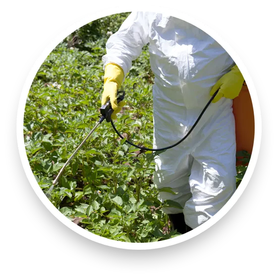 mint city utility technician appling herbicide with sprayer