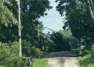 FEMA Disaster Relief Fallen Tree Removal Service