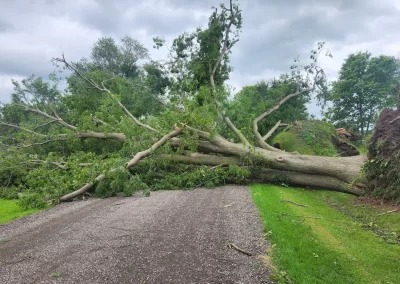 FEMA Disaster Relief Large Tree Fallen Accross Road after storm indiana