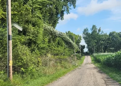 FEMA Disaster Relief Tree Damage to Overhead Wires and Electricity