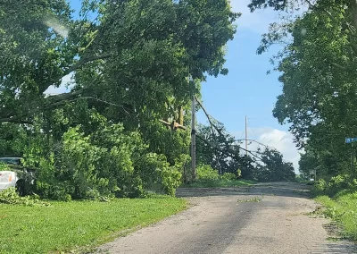 FEMA Disaster Relief Tree Fallen on Car